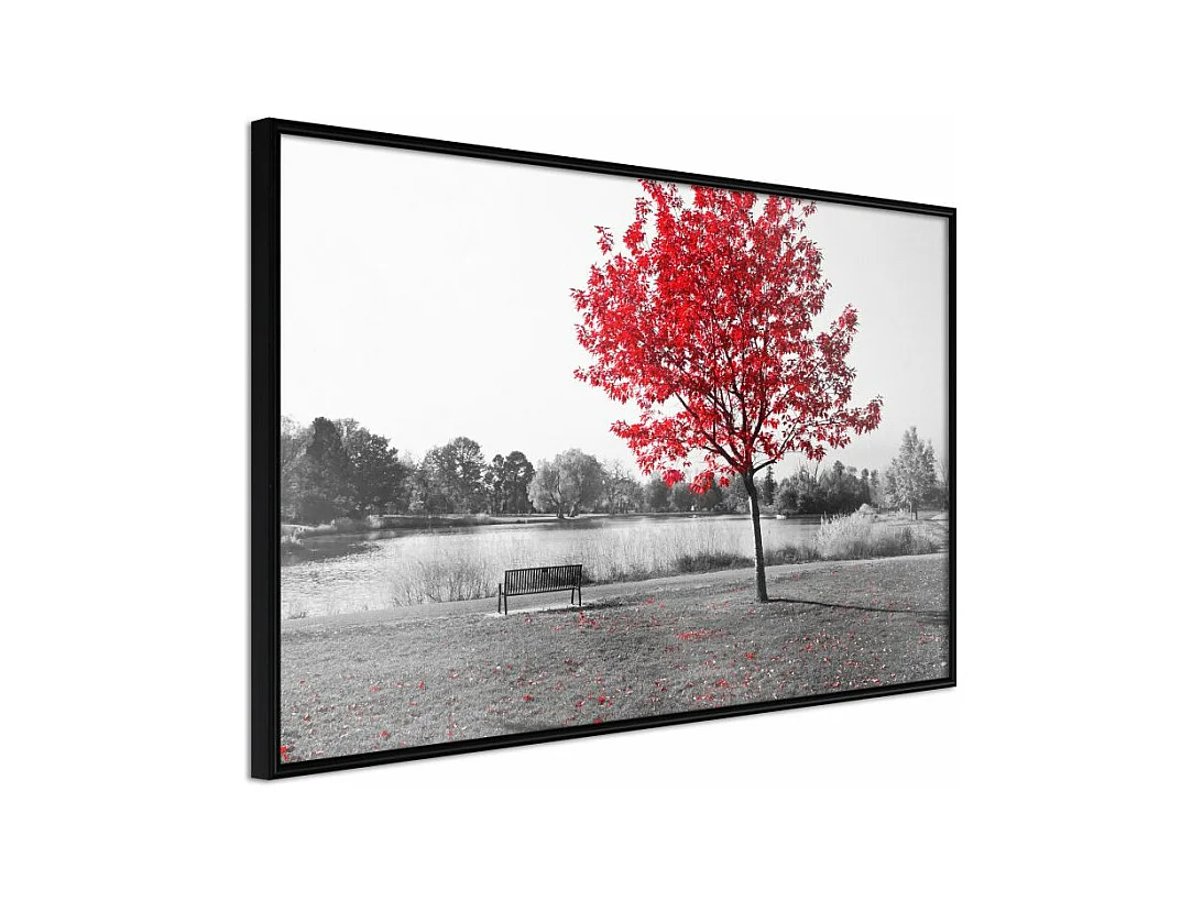 Affiche Murale Encadrée "Autumn Colours I" 30 x 20 cm Noir