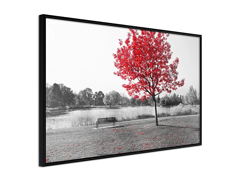 Affiche Murale Encadrée "Autumn Colours I" 30 x 20 cm Noir