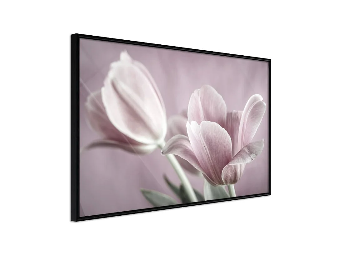 Affiche Murale Encadrée "Pastel Tulips I" 90 x 60 cm Noir