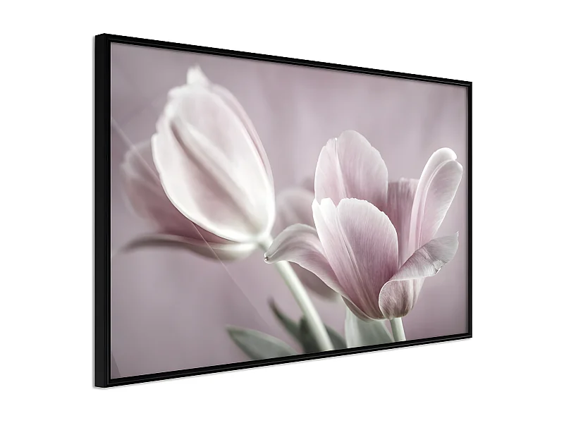 Affiche Murale Encadrée "Pastel Tulips I" 45 x 30 cm Noir