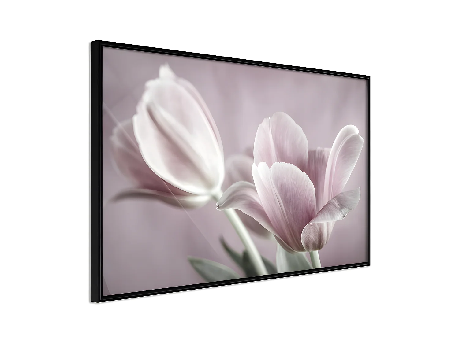 Affiche Murale Encadrée "Pastel Tulips I" 45 x 30 cm Noir