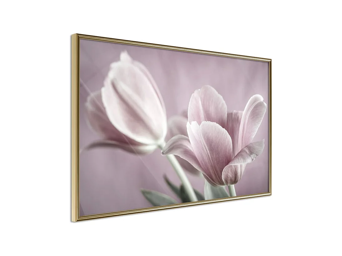 Affiche Murale Encadrée "Pastel Tulips I" 90 x 60 cm Or