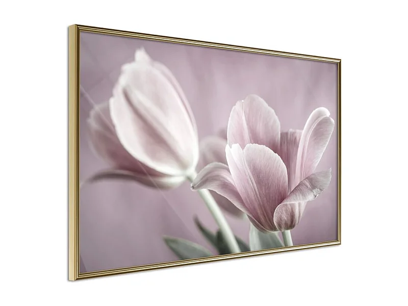 Affiche Murale Encadrée "Pastel Tulips I" 90 x 60 cm Or