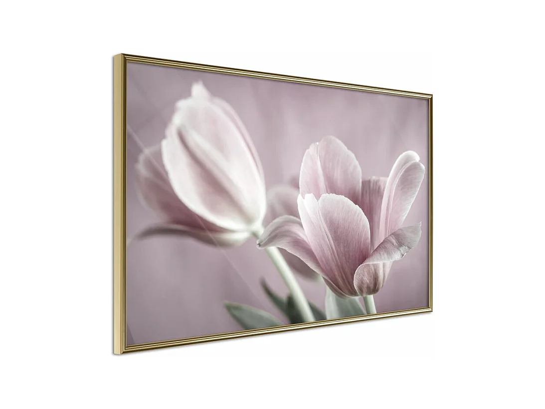 Affiche Murale Encadrée "Pastel Tulips I" 45 x 30 cm Or