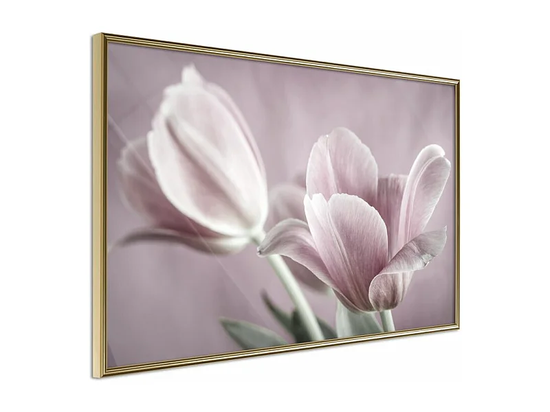 Affiche Murale Encadrée "Pastel Tulips I" 45 x 30 cm Or