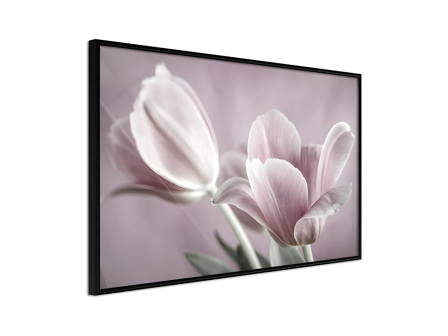 Affiche Murale Encadrée "Pastel Tulips I" 60 x 40 cm Noir