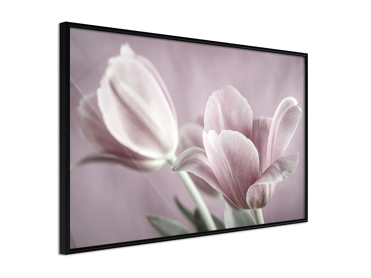 Affiche Murale Encadrée "Pastel Tulips I" 60 x 40 cm Noir