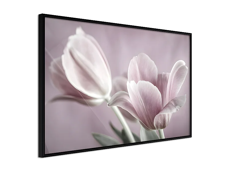 Affiche Murale Encadrée "Pastel Tulips I" 60 x 40 cm Noir