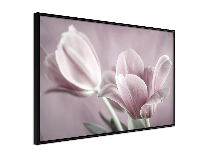 Affiche Murale Encadrée "Pastel Tulips I" 60 x 40 cm Noir
