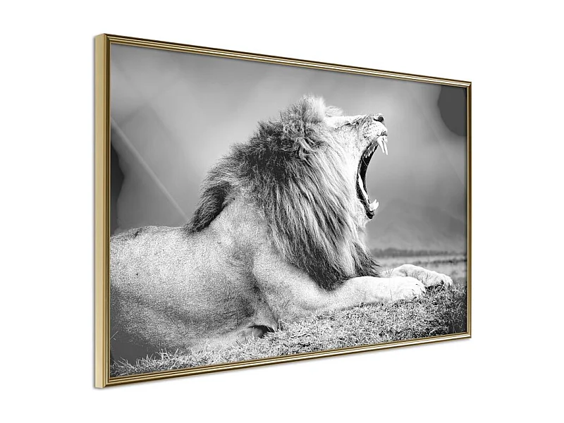 Affiche Murale Encadrée "Yawning Lion" 90 x 60 cm Or