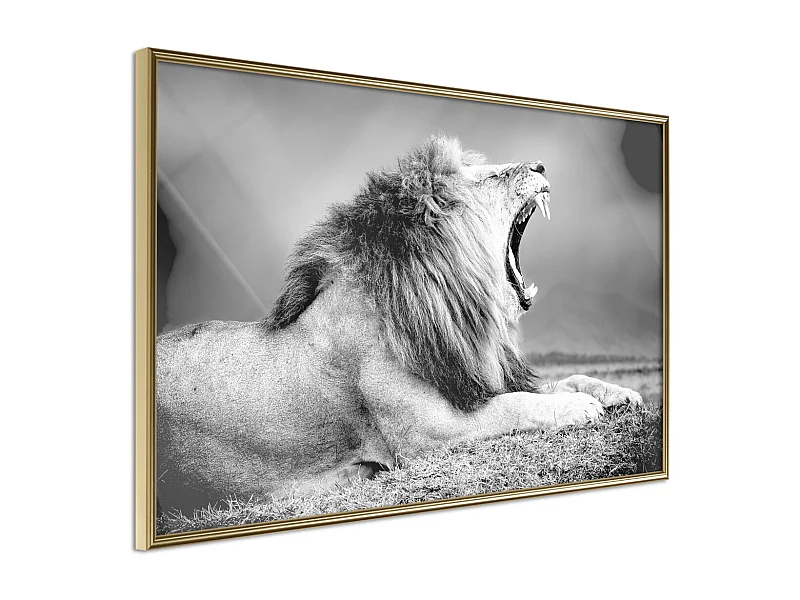 Affiche Murale Encadrée "Yawning Lion" 90 x 60 cm Or