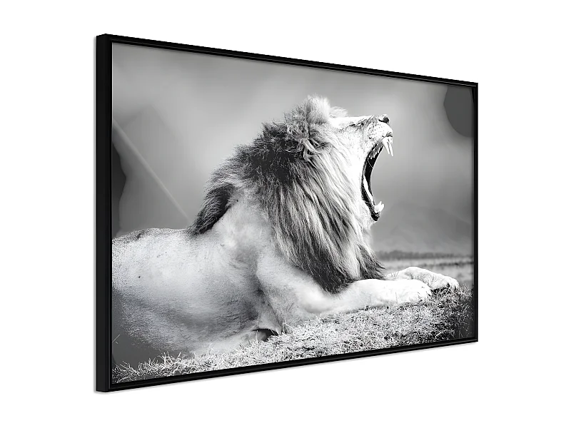 Affiche Murale Encadrée "Yawning Lion" 30 x 20 cm Noir