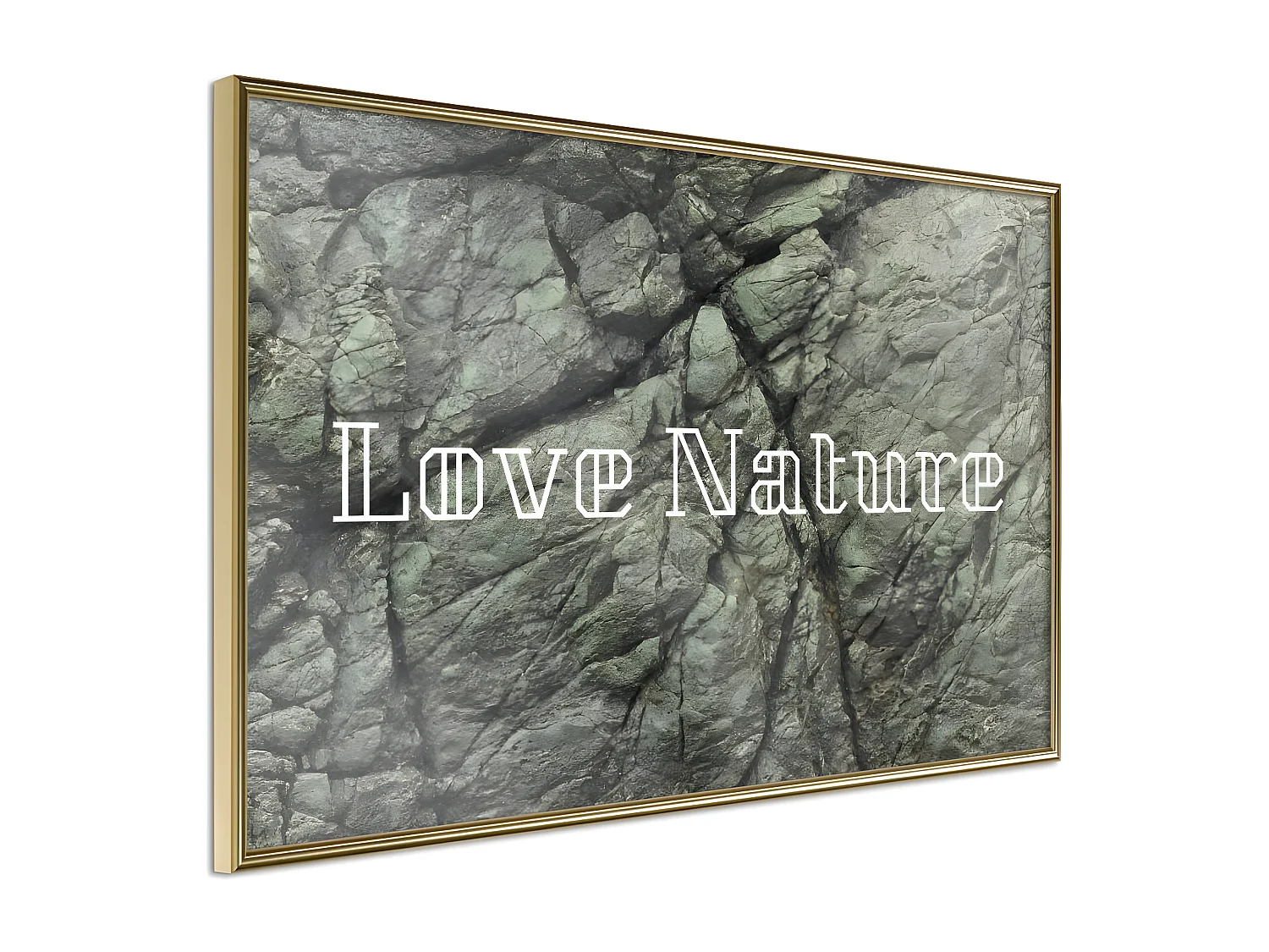 Affiche Murale Encadrée "Nature" 90 x 60 cm Or