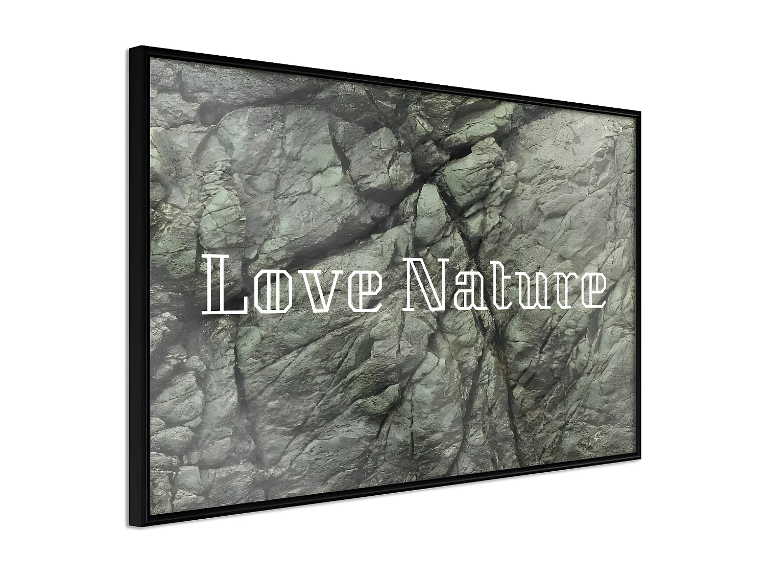 Affiche Murale Encadrée "Nature" 90 x 60 cm Noir