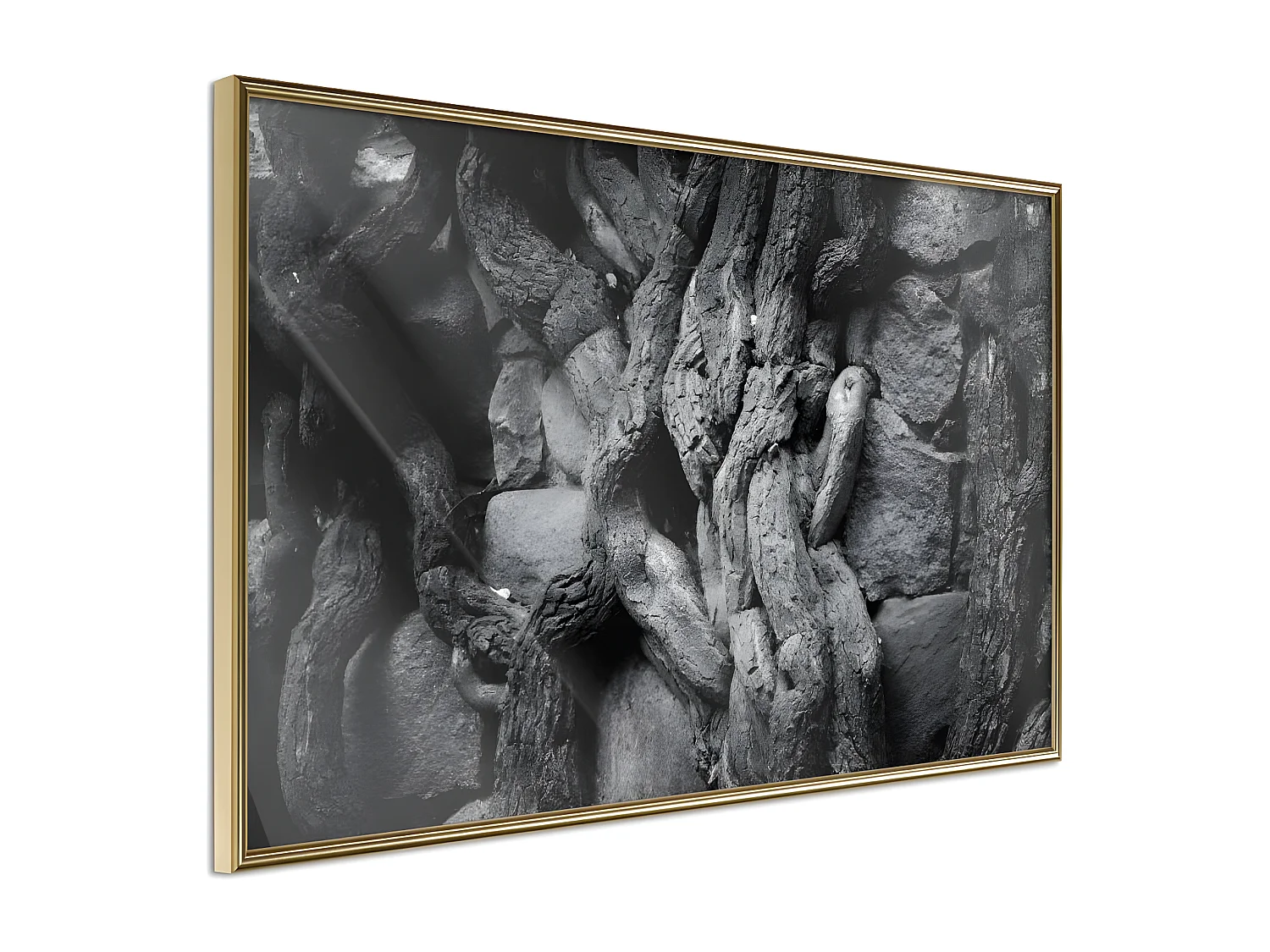 Affiche Murale Encadrée "Strong Roots" 30 x 20 cm Or