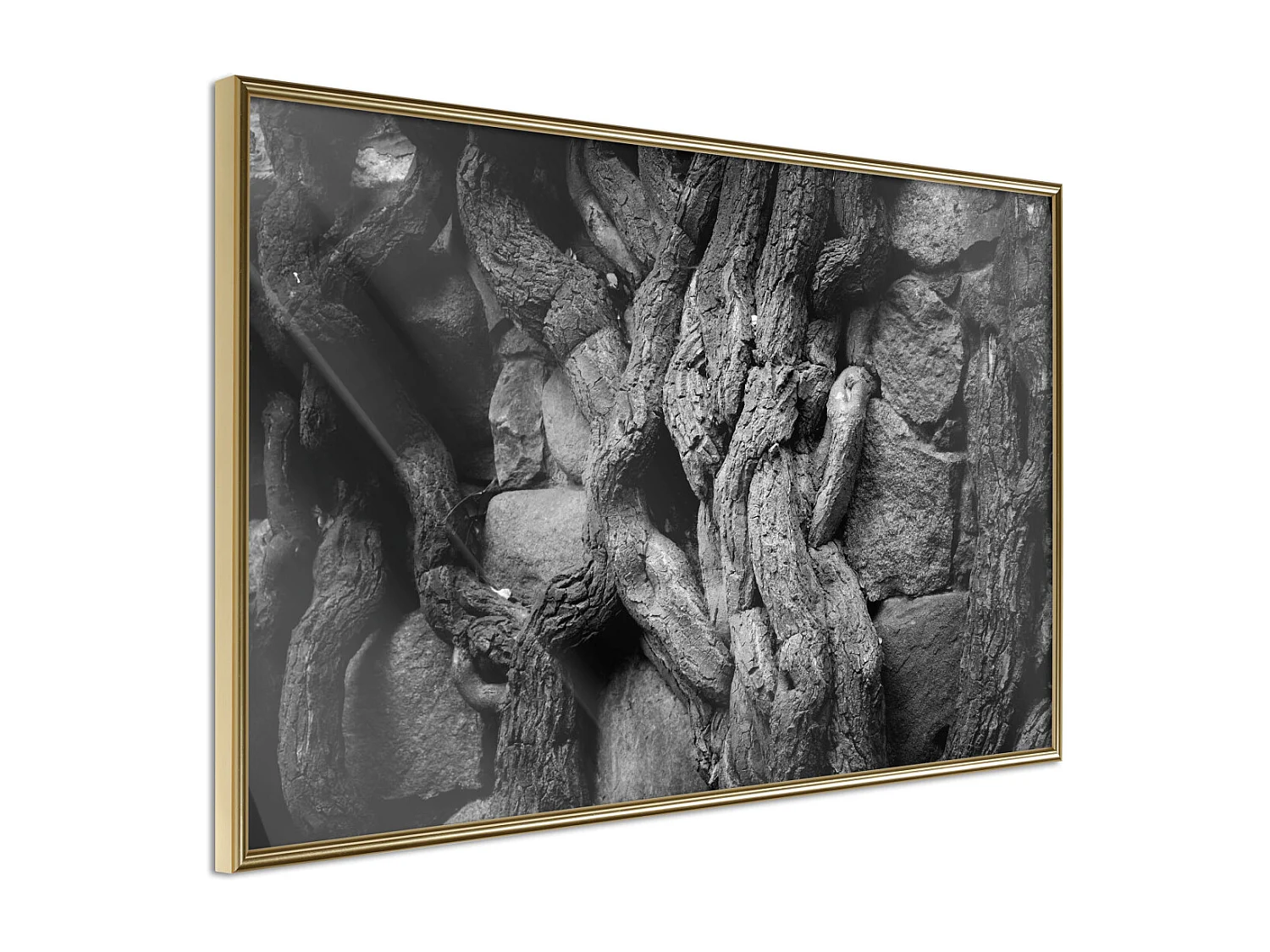 Affiche Murale Encadrée "Strong Roots" 30 x 20 cm Or