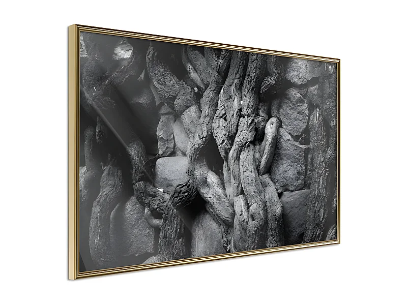 Affiche Murale Encadrée "Strong Roots" 30 x 20 cm Or