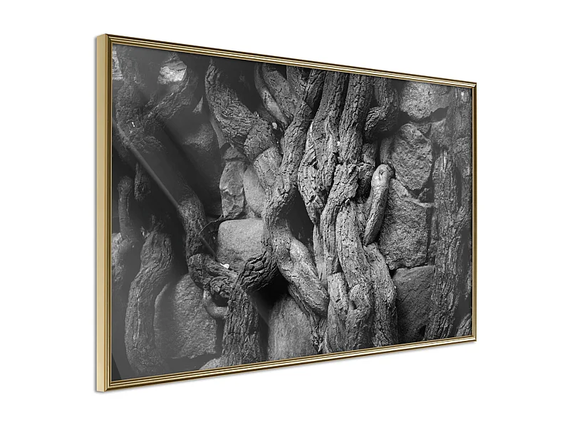 Affiche Murale Encadrée "Strong Roots" 30 x 20 cm Or