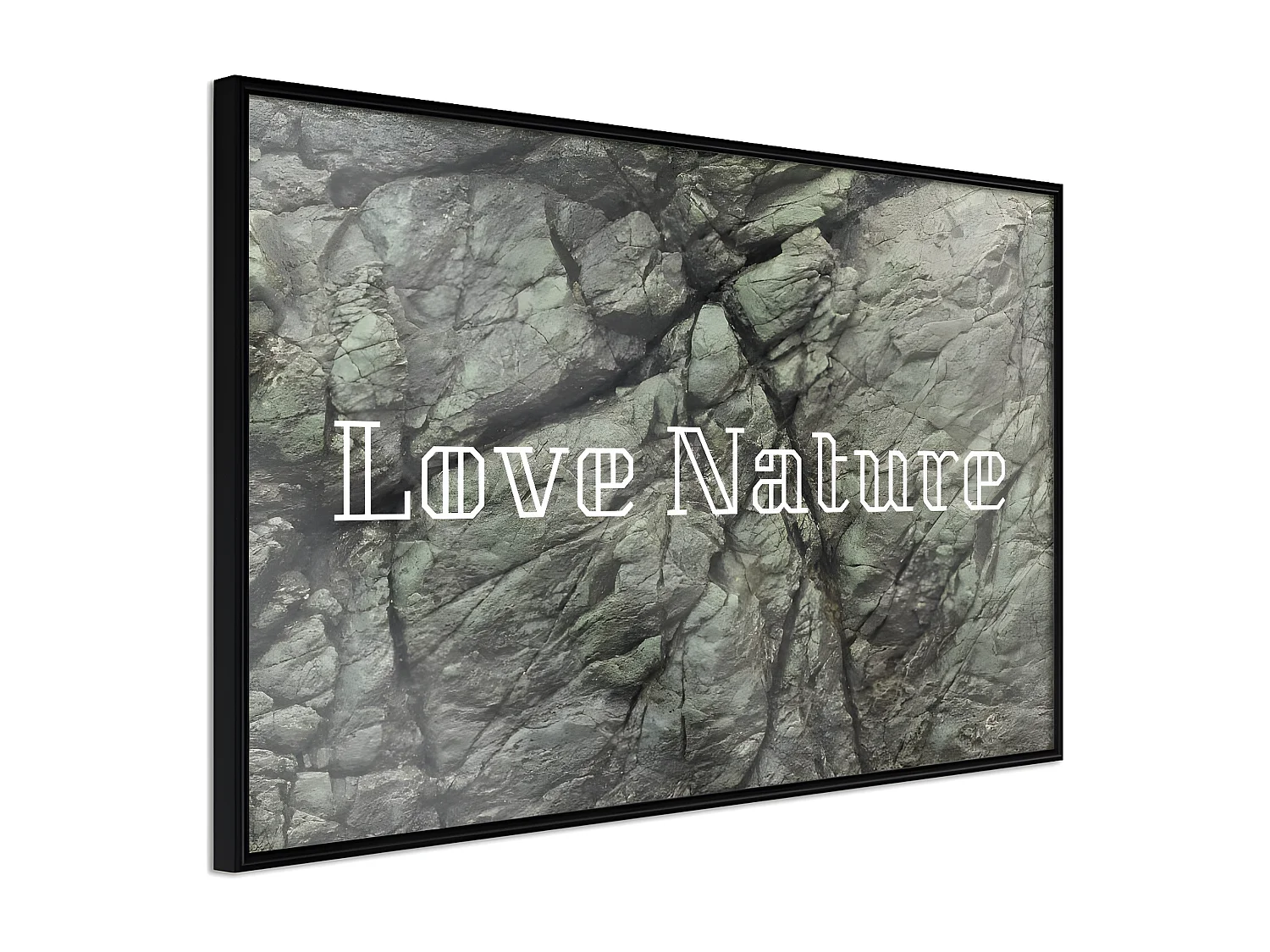 Affiche Murale Encadrée "Nature" 30 x 20 cm Noir