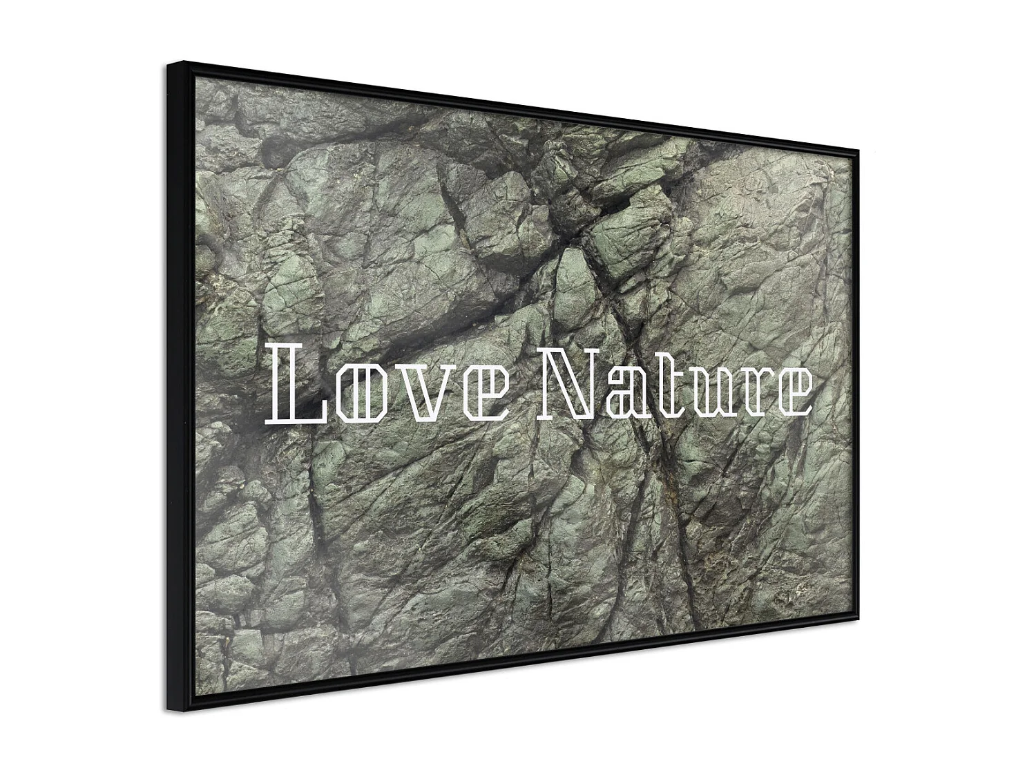 Affiche Murale Encadrée "Nature" 60 x 40 cm Noir