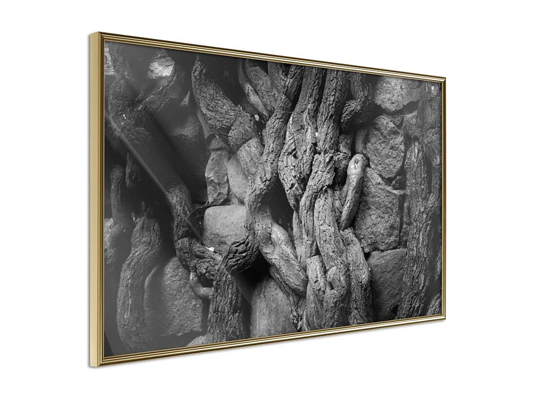 Affiche Murale Encadrée "Strong Roots" 60 x 40 cm Or
