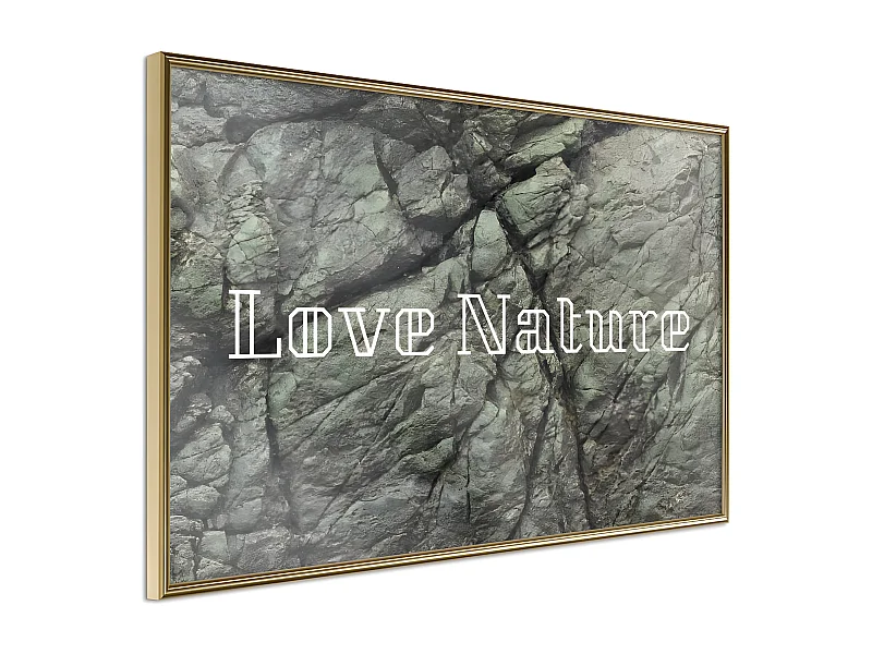 Affiche Murale Encadrée "Nature" 45 x 30 cm Or
