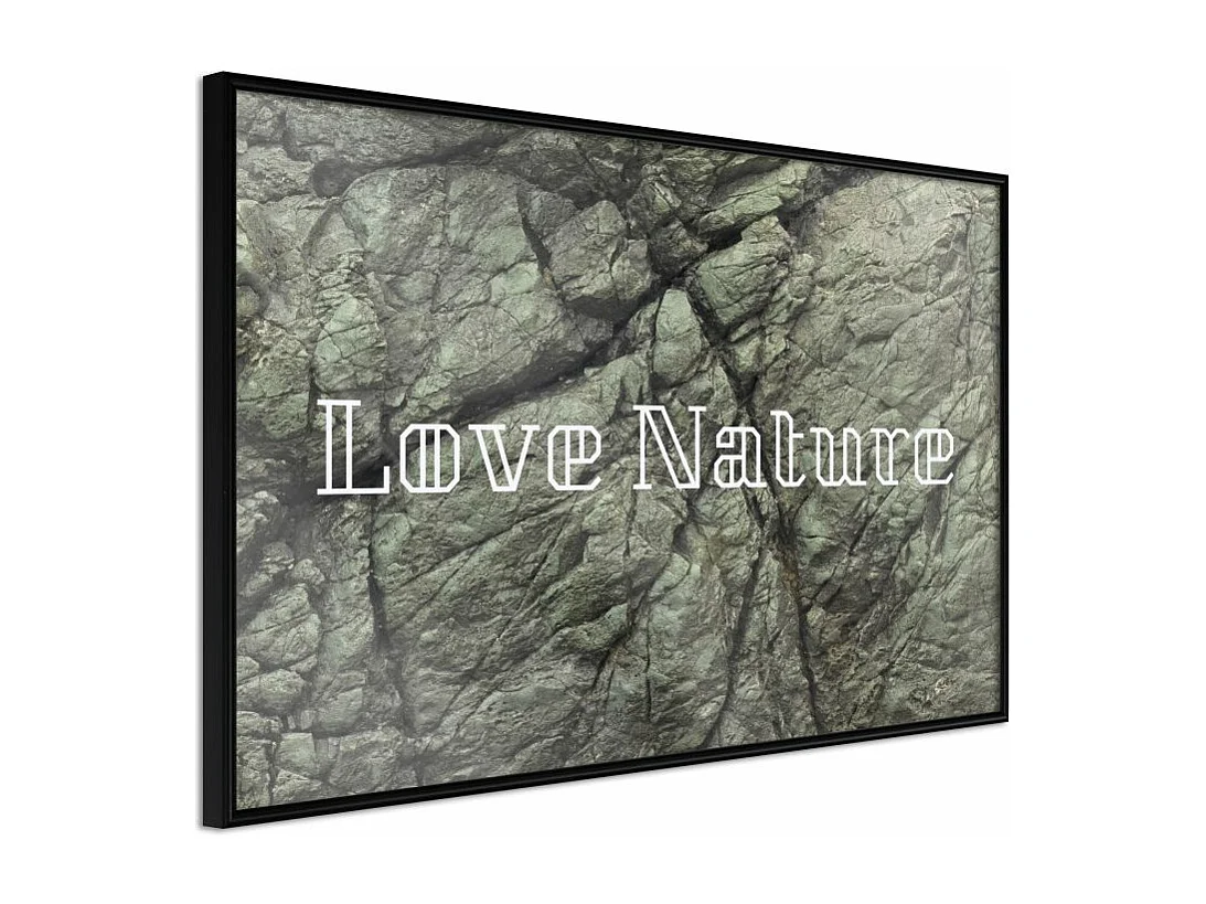 Affiche Murale Encadrée "Nature" 45 x 30 cm Noir