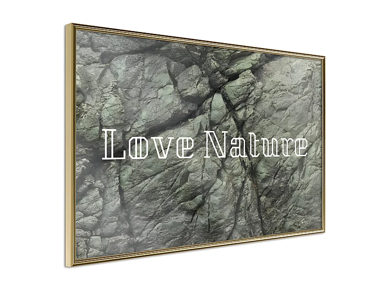 Affiche Murale Encadrée "Nature" 30 x 20 cm Or