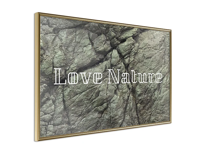 Affiche Murale Encadrée "Nature" 30 x 20 cm Or