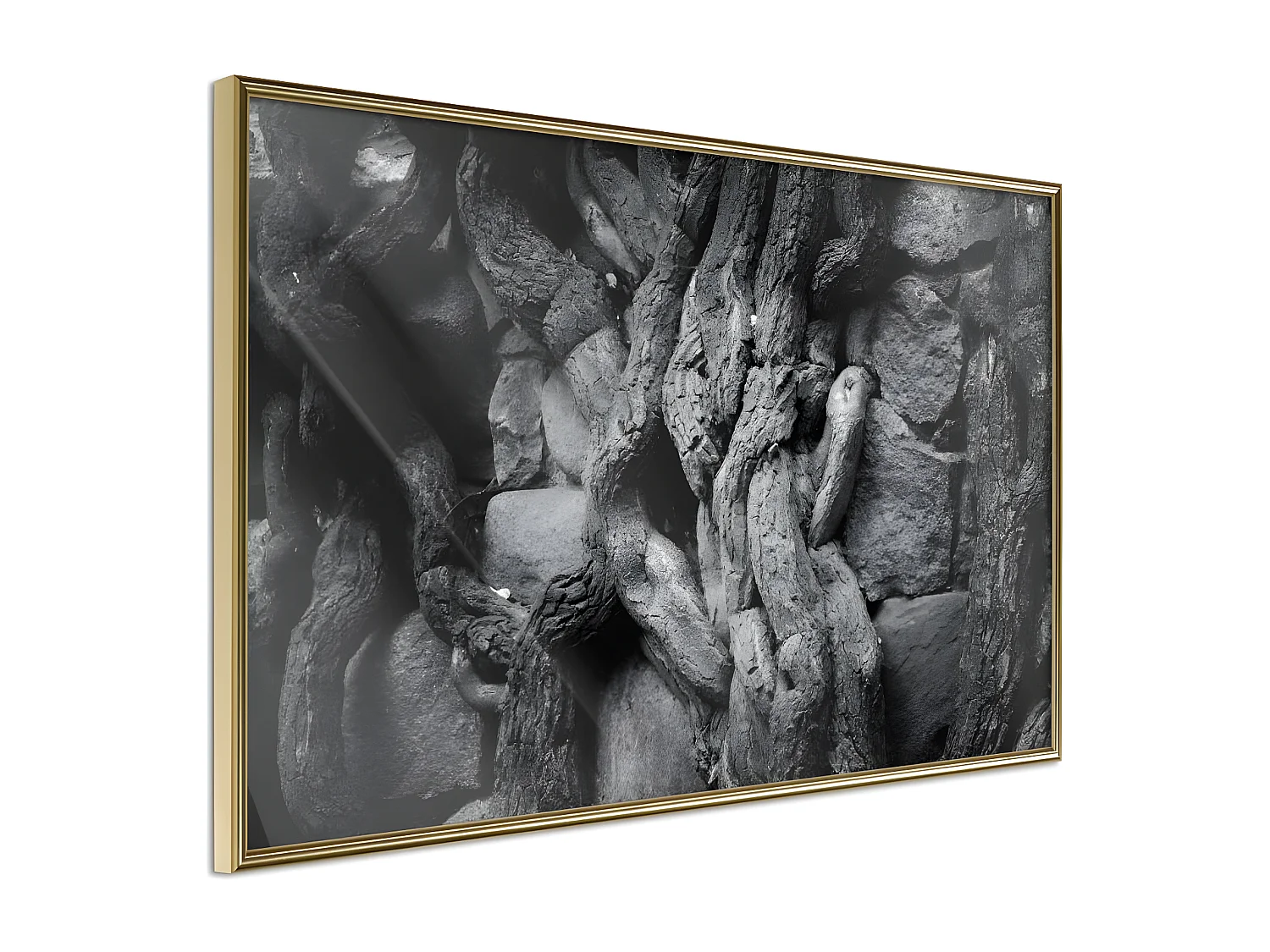 Affiche Murale Encadrée "Strong Roots" 90 x 60 cm Or