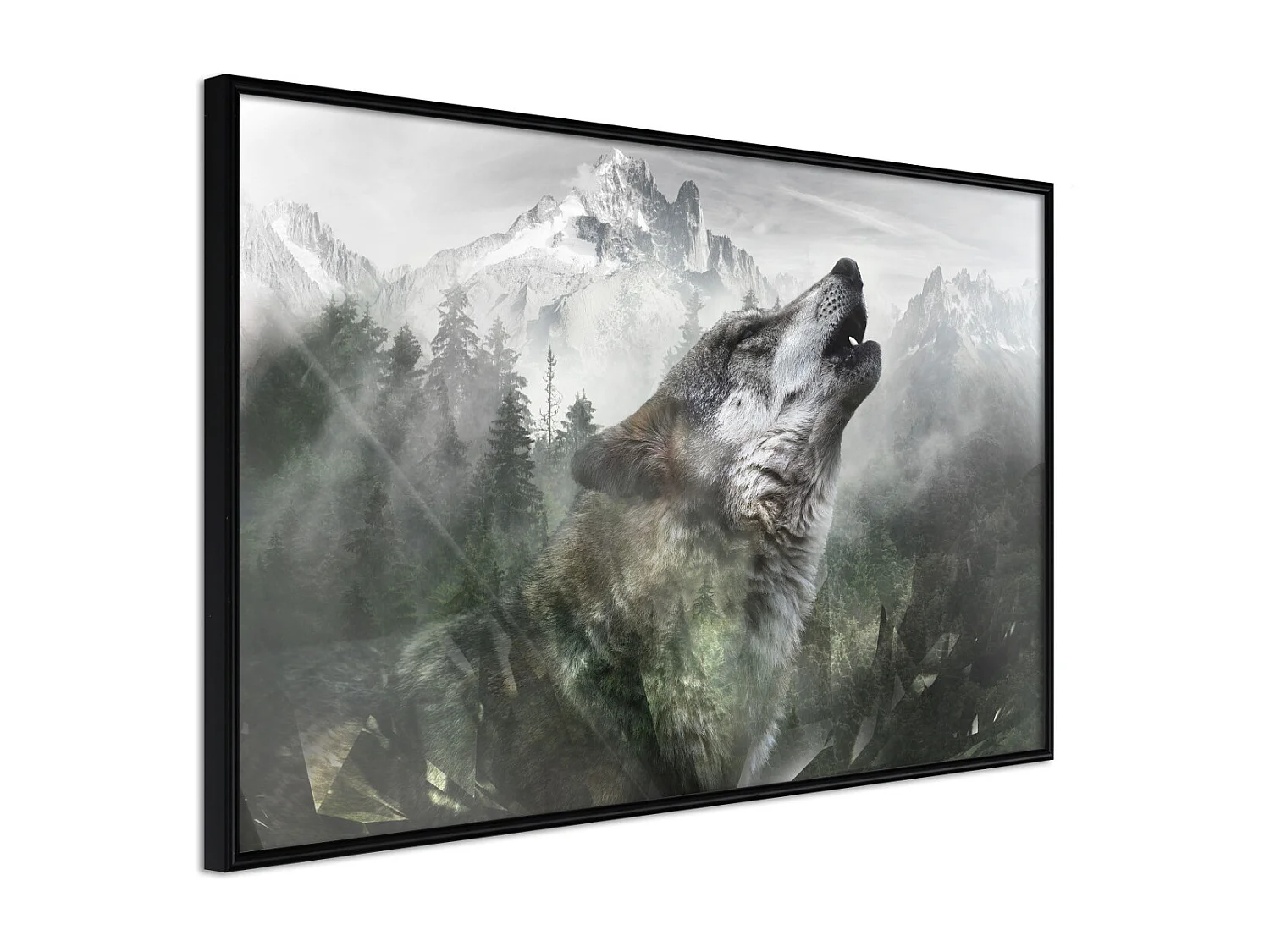 Affiche Murale Encadrée "Wolf's Territory" 45 x 30 cm Noir