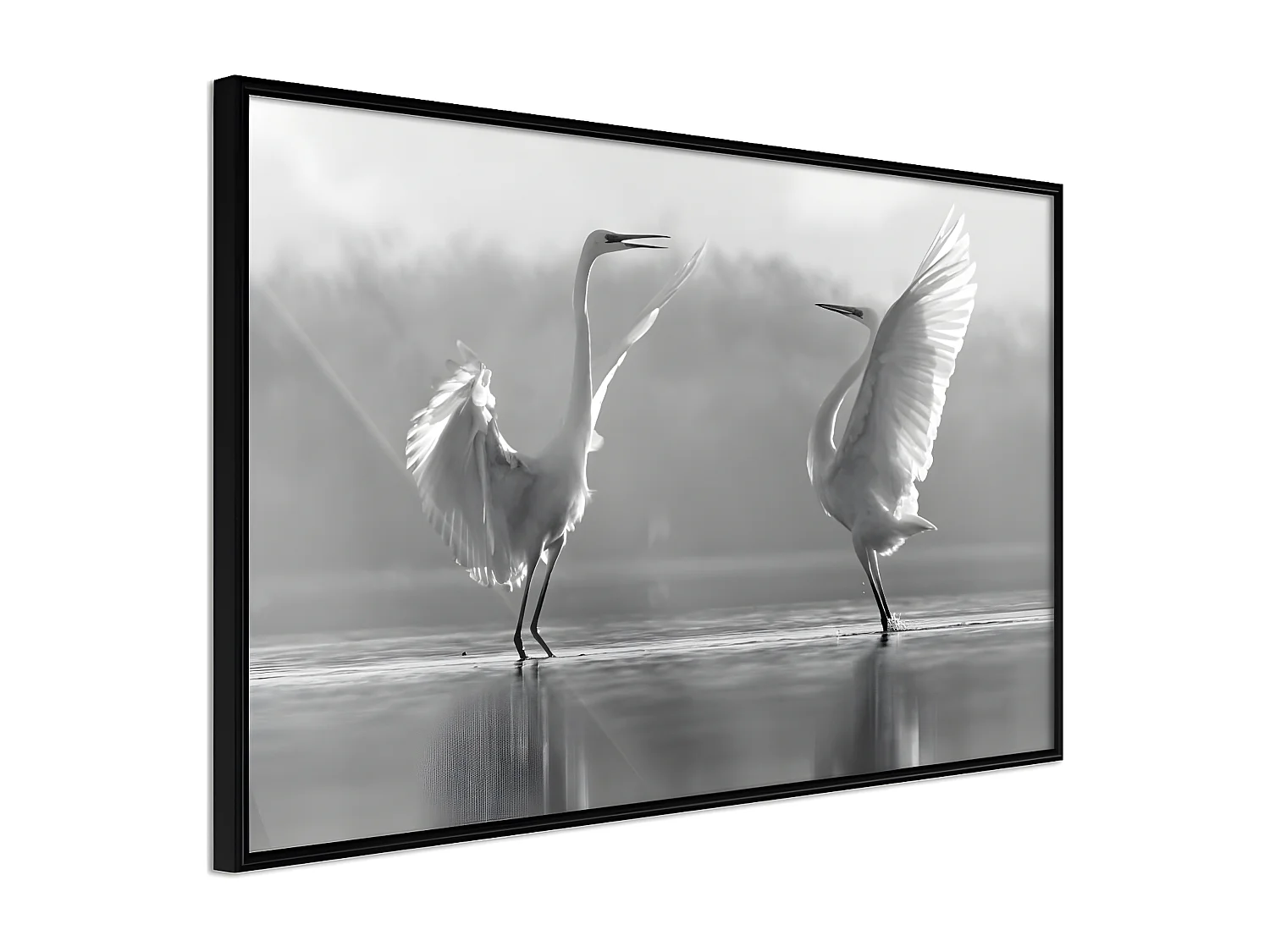 Affiche Murale Encadrée "Black and White Herons" 30 x 20 cm Noir