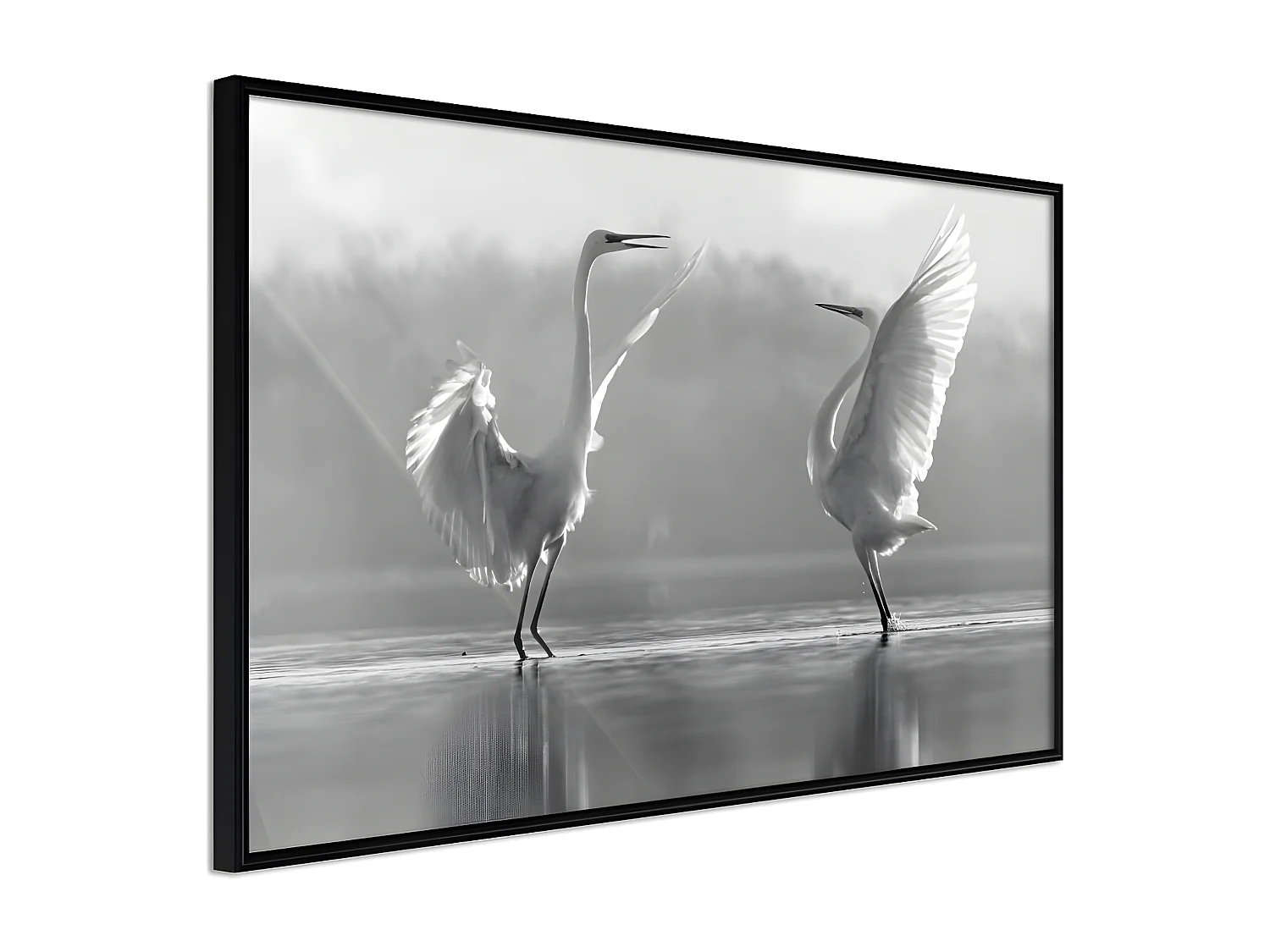 Affiche Murale Encadrée "Black and White Herons" 60 x 40 cm Noir