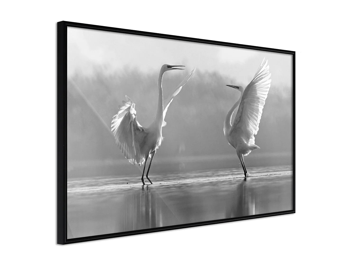 Affiche Murale Encadrée "Black and White Herons" 90 x 60 cm Noir