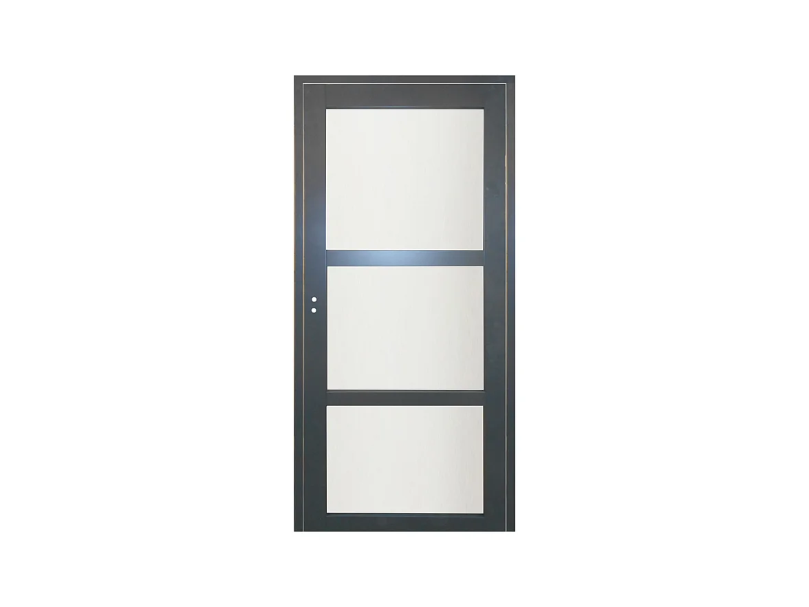 Bloc Porte Blakeria Ral7016 Vitree H204 X L73 Poussant Droite Cotes Tableau Gd Menuiseries