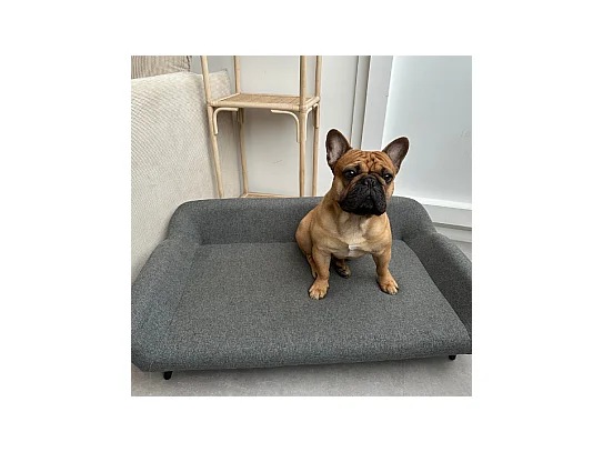 Kanapa dla zwierząt z tkaniny z metalowymi nogami - szer.99 x gł. 61 cm - Szara - ZOLIA