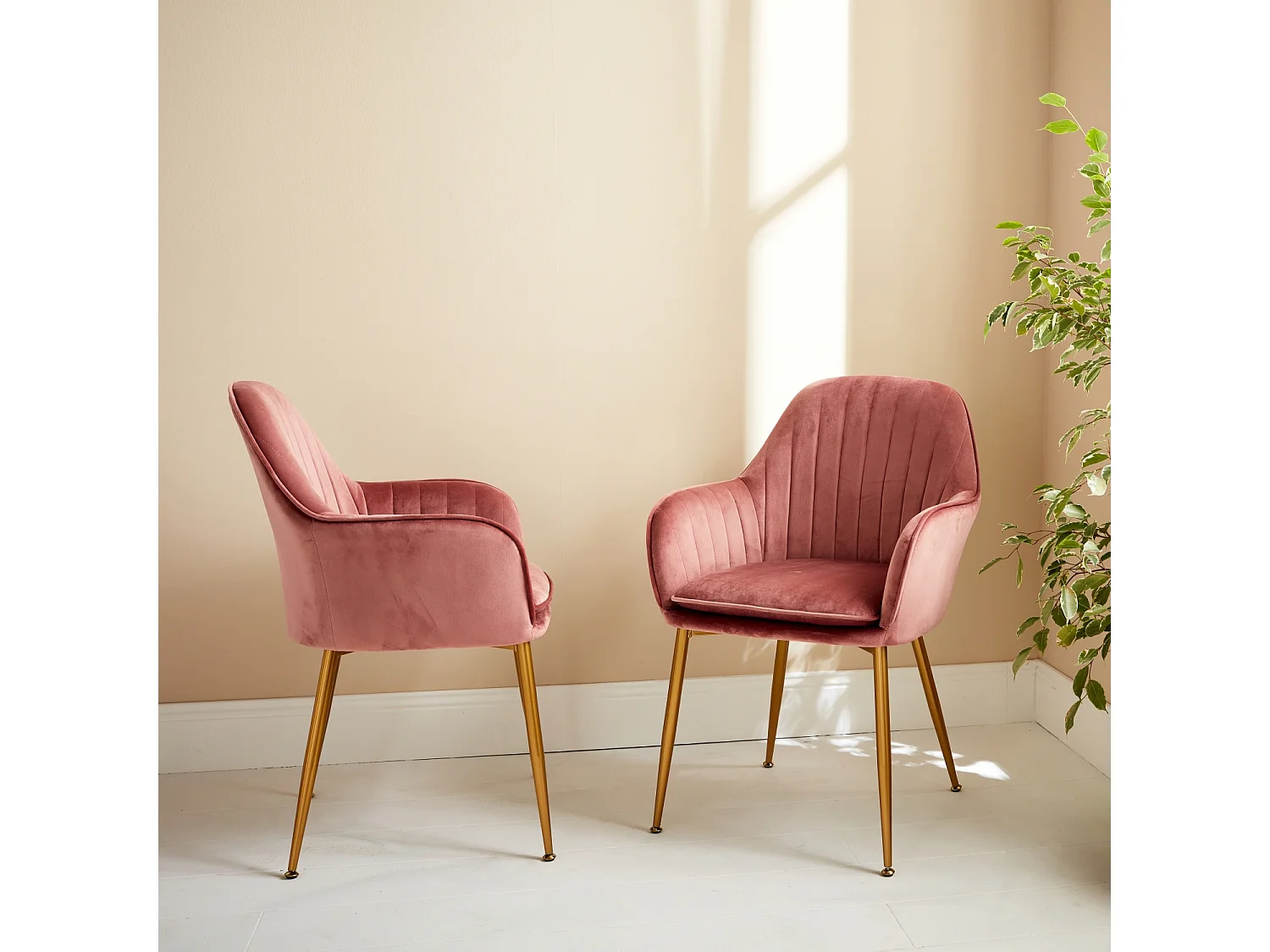 Set 2 poltrone in velluto con gambe in metallo, rosa antico