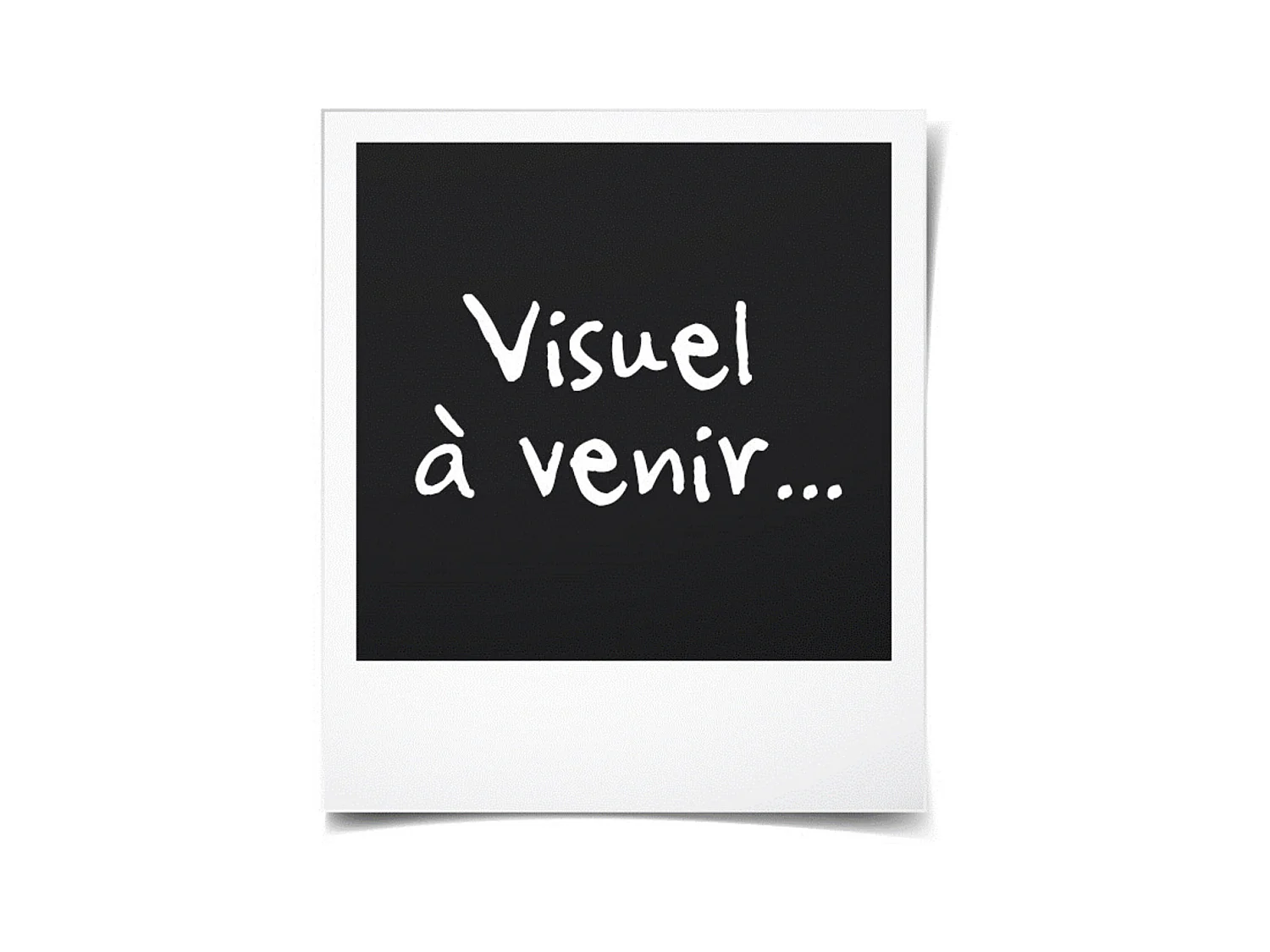 Fixe Lateral Bois Exo Prepeint Blanc H215 X L40 Cote Tableau Gd Menuiseries