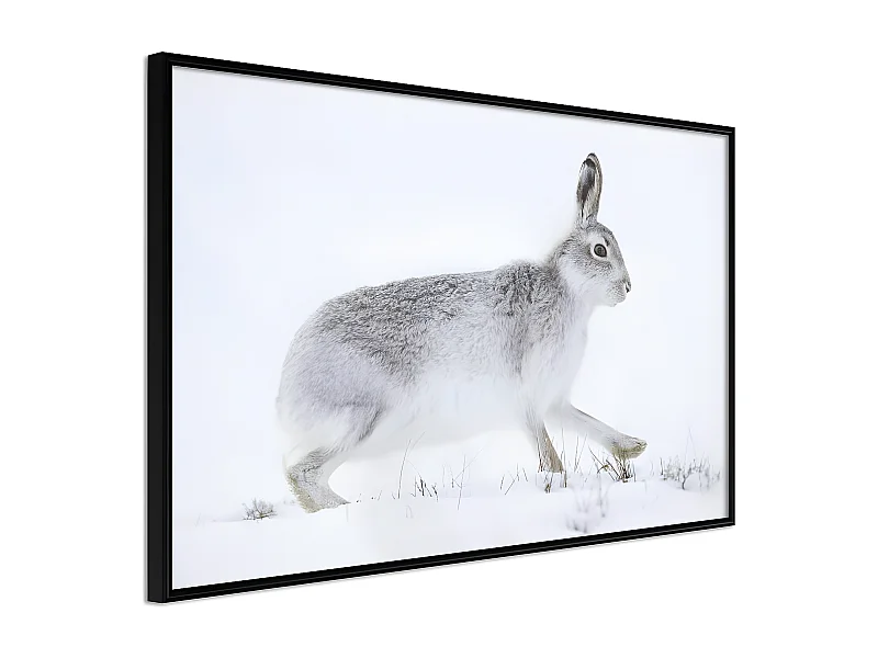 Affiche Murale Encadrée "Escape in the Snow" 90 x 60 cm Noir