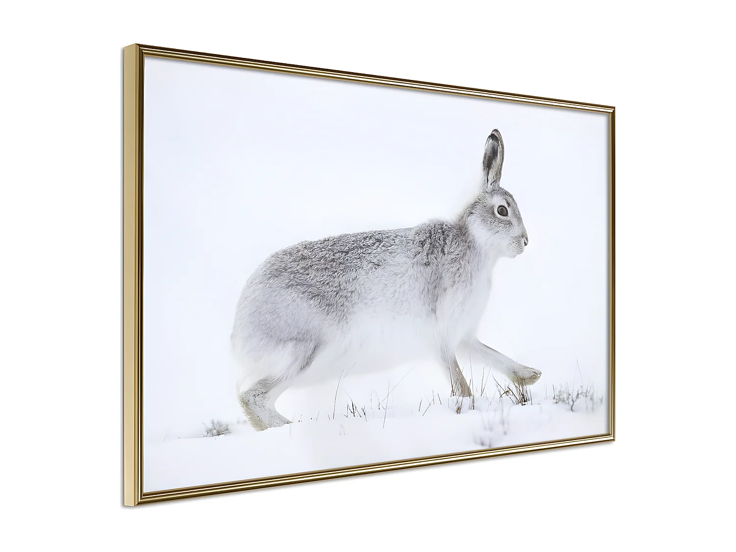 Affiche Murale Encadrée "Escape in the Snow" 60 x 40 cm Or