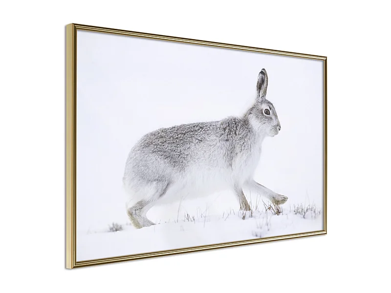 Affiche Murale Encadrée "Escape in the Snow" 60 x 40 cm Or