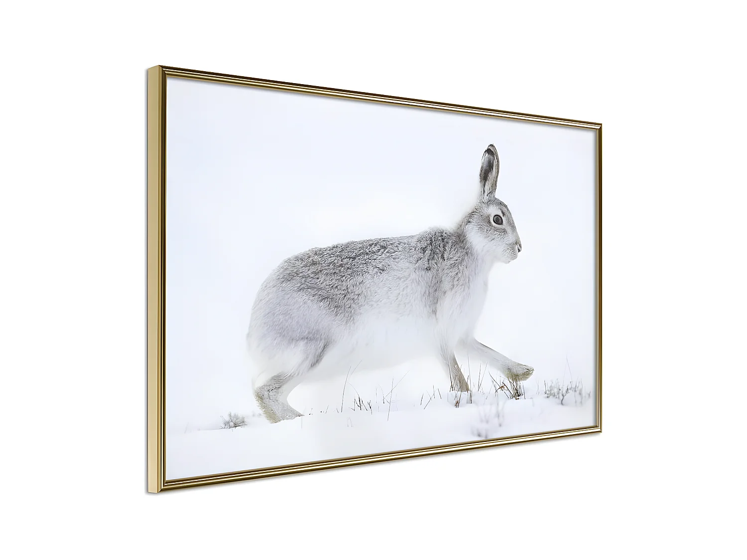 Affiche Murale Encadrée "Escape in the Snow" 45 x 30 cm Or