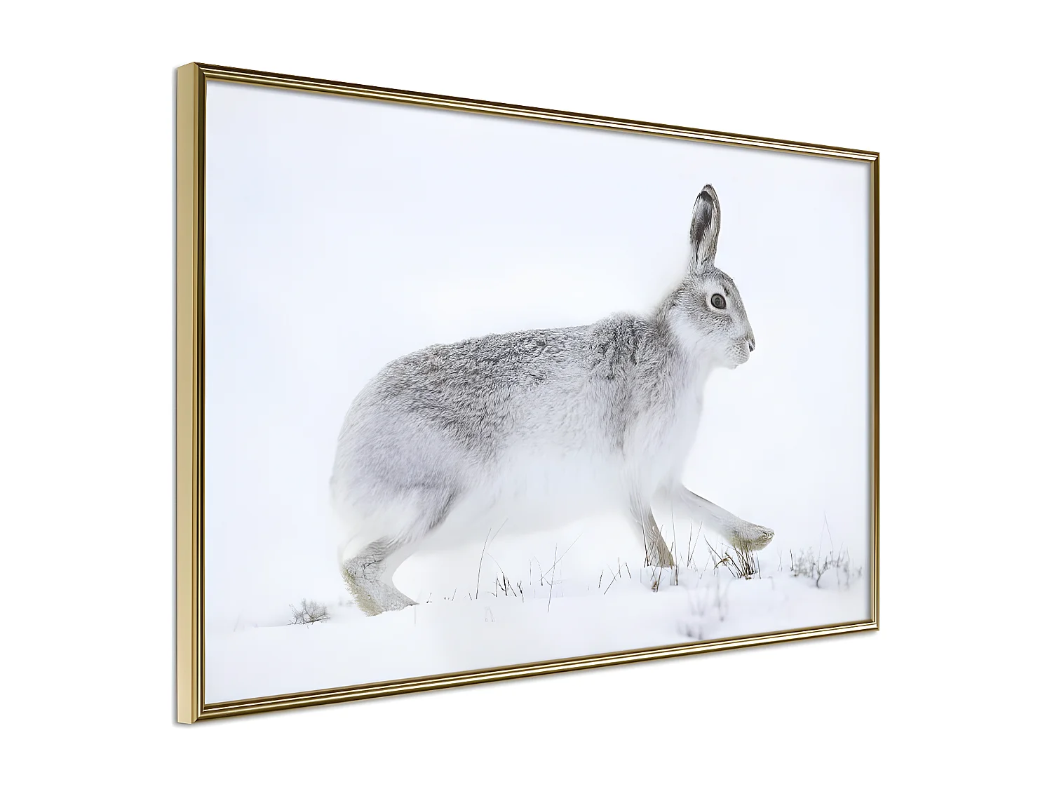 Affiche Murale Encadrée "Escape in the Snow" 45 x 30 cm Or