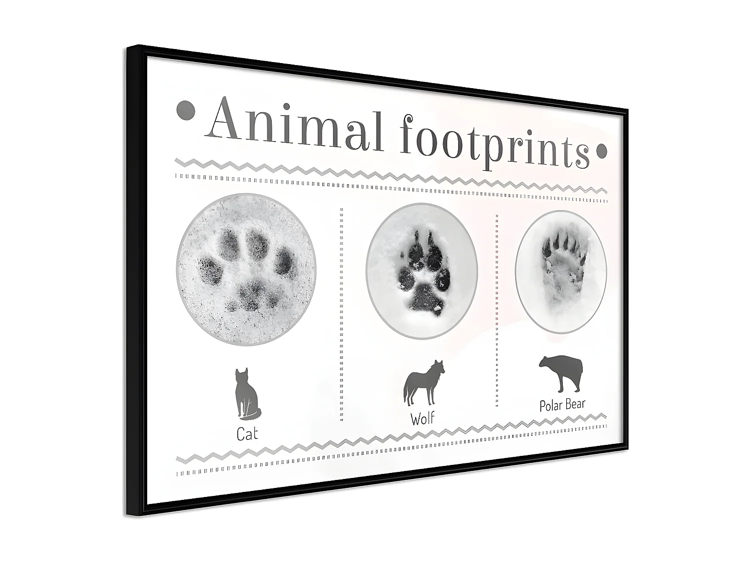 Affiche Murale Encadrée "How to Recognize an Animal" 30 x 20 cm Noir