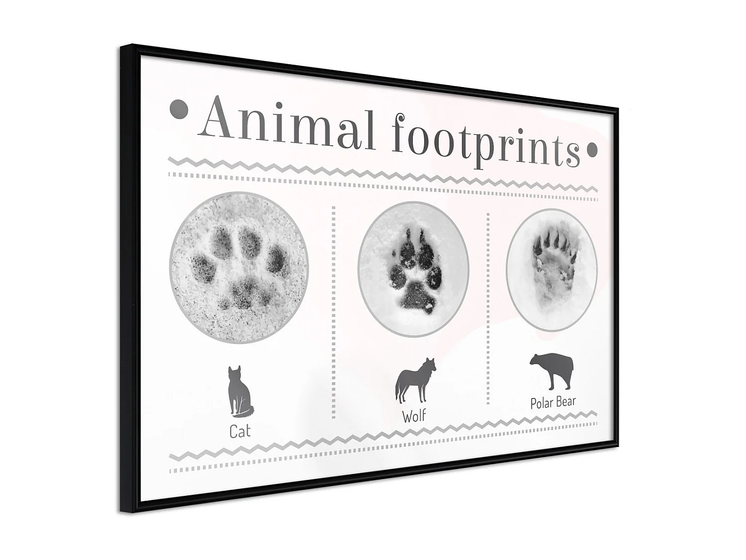 Affiche Murale Encadrée "How to Recognize an Animal" 30 x 20 cm Noir