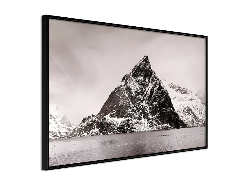 Affiche Murale Encadrée "Stark Landscape" 90 x 60 cm Noir