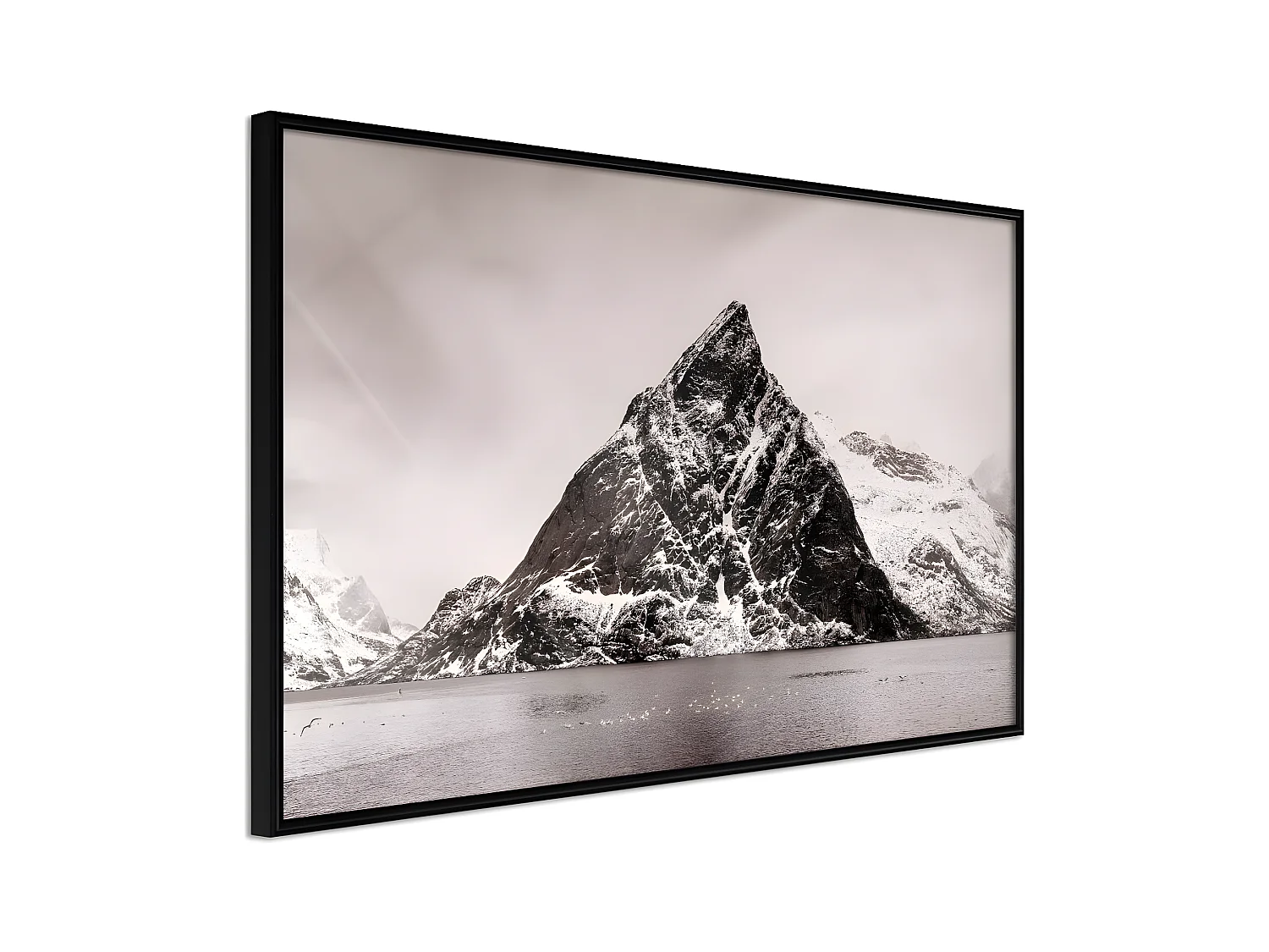 Affiche Murale Encadrée "Stark Landscape" 90 x 60 cm Noir