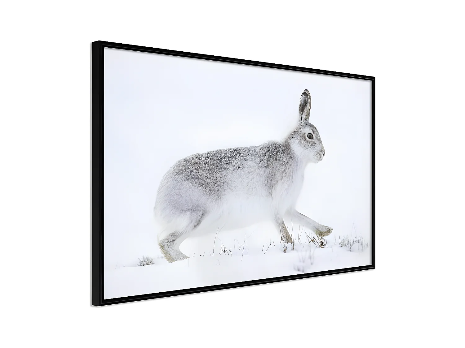 Affiche Murale Encadrée "Escape in the Snow" 45 x 30 cm Noir