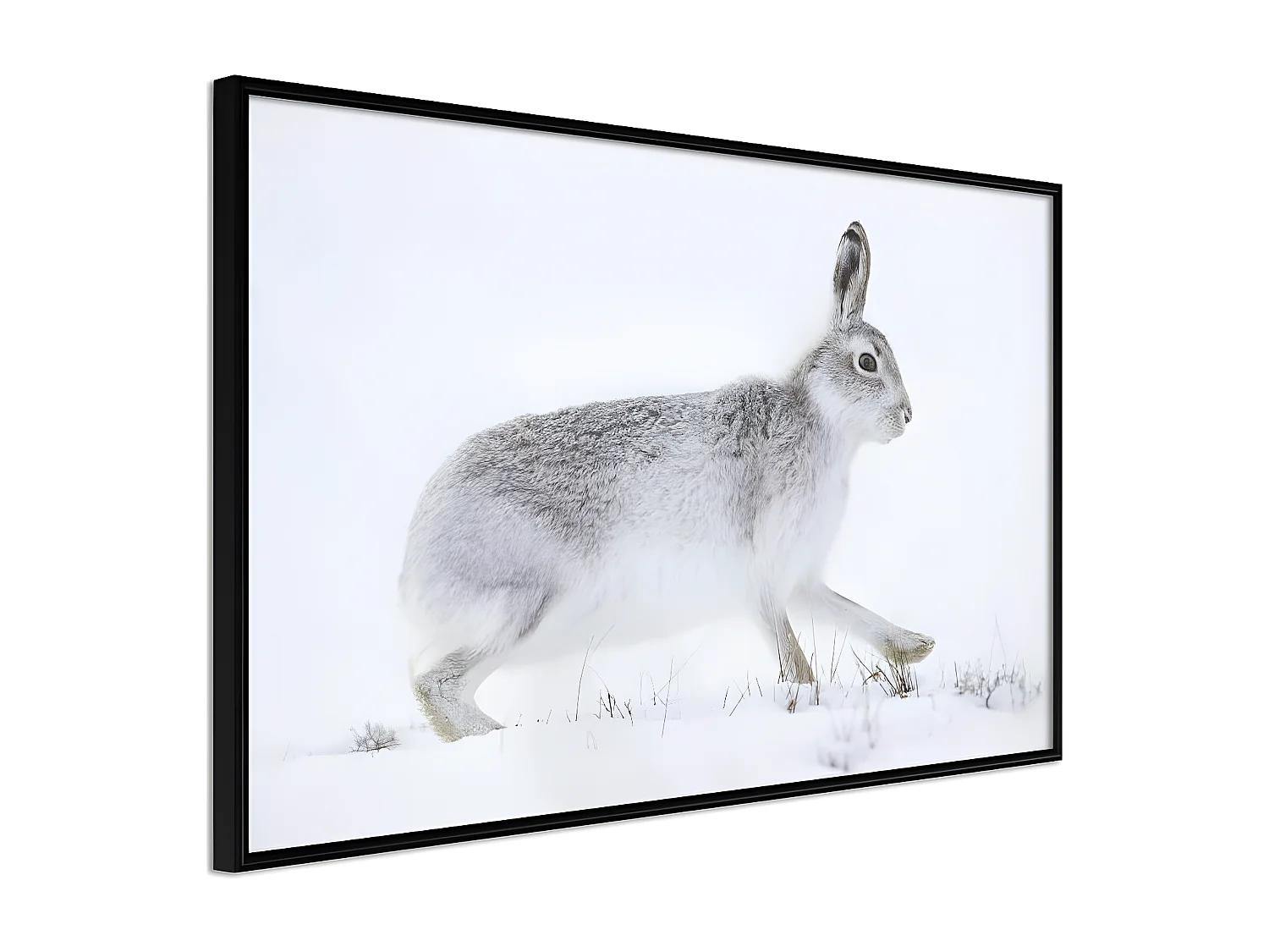 Affiche Murale Encadrée "Escape in the Snow" 45 x 30 cm Noir