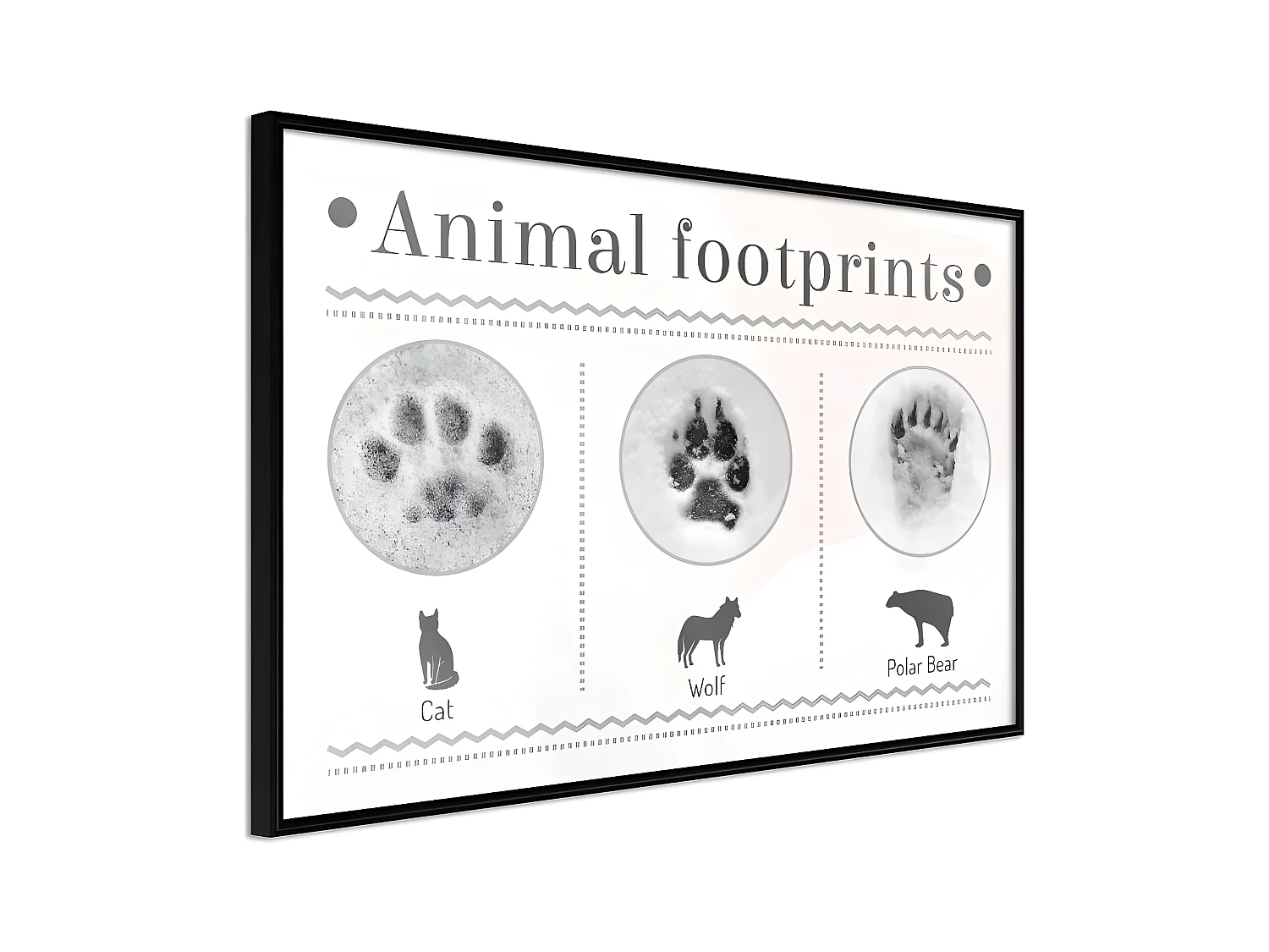 Affiche Murale Encadrée "How to Recognize an Animal" 90 x 60 cm Noir